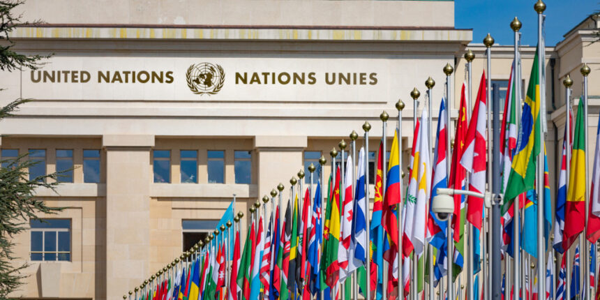 La transparència de la publicitat, entre els principals principis de l’ONU per lluitar contra la desinformació