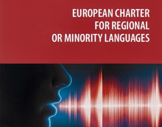 Europa torna a mirar les llengües minoritàries i regionals: una nova oportunitat per al català?