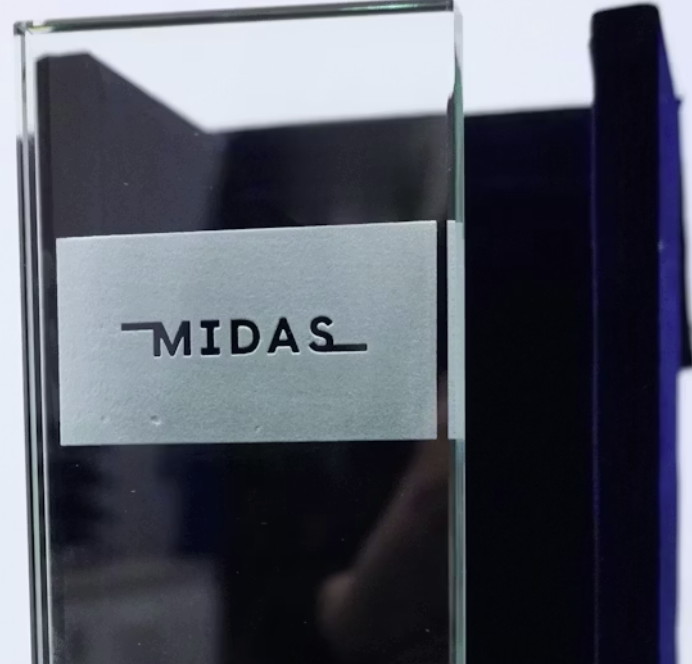 MIDAS MIDAS porta al Parlament Europeu la veu dels mitjans en llengües minoritàries i minoritzades